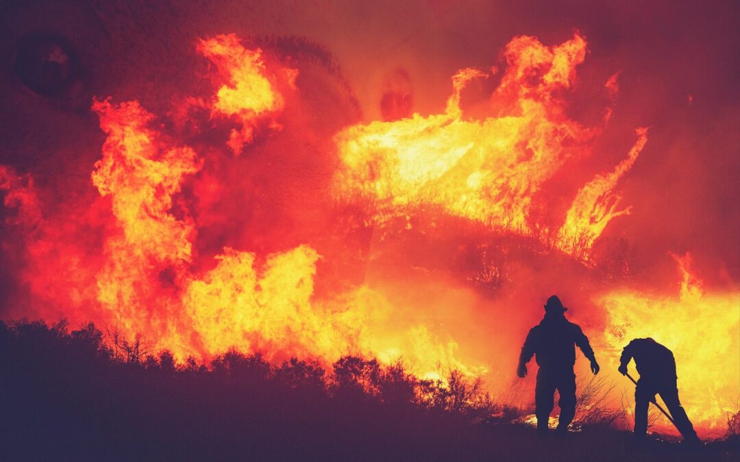 National Wildland Firefighter Day: Honoring the Backbone of Bravery