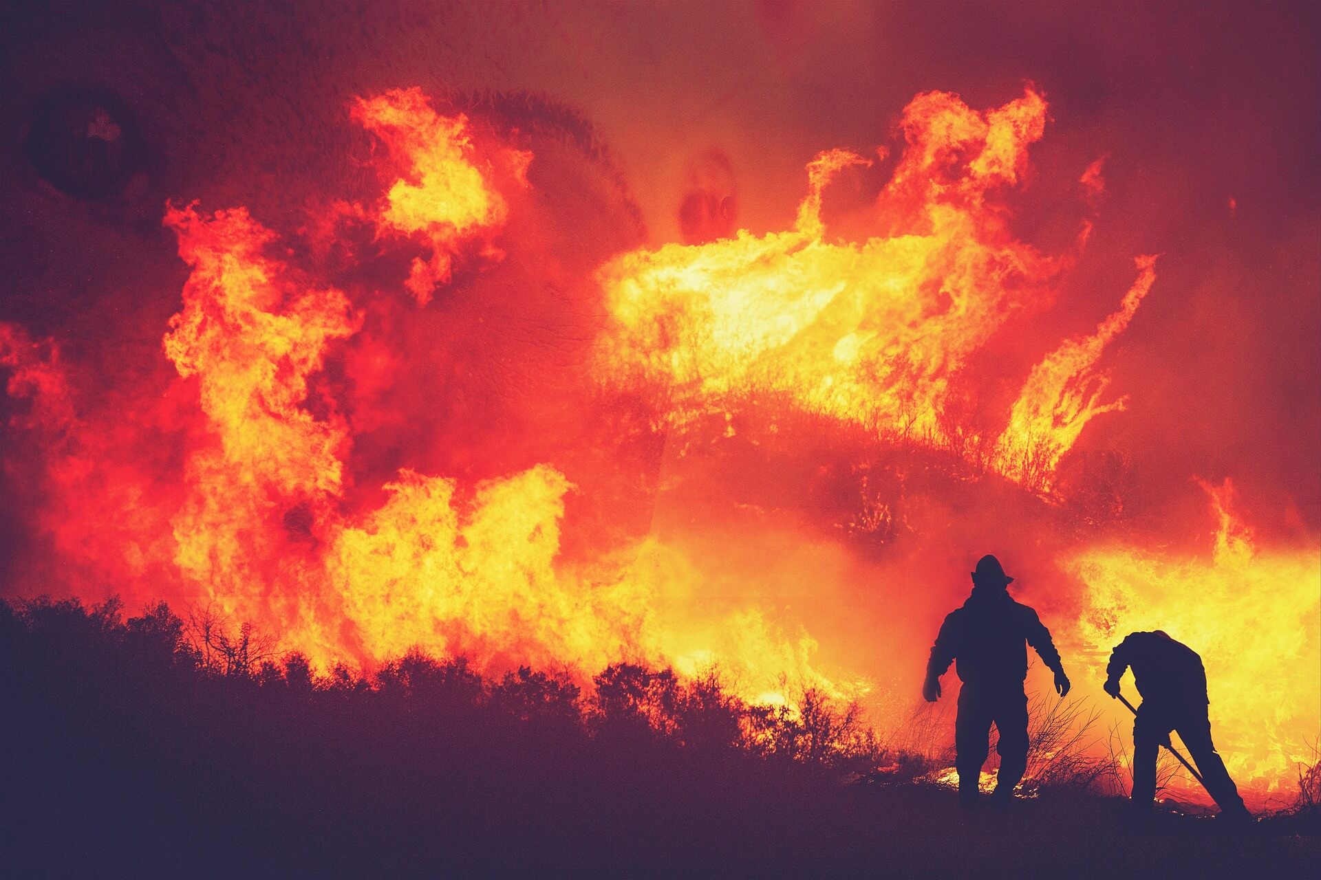 national wildland firefighter day