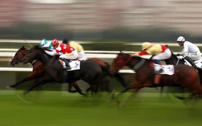 Belmont Stakes: An Unforgettable Gallop Through Glory, History, and Hilarity