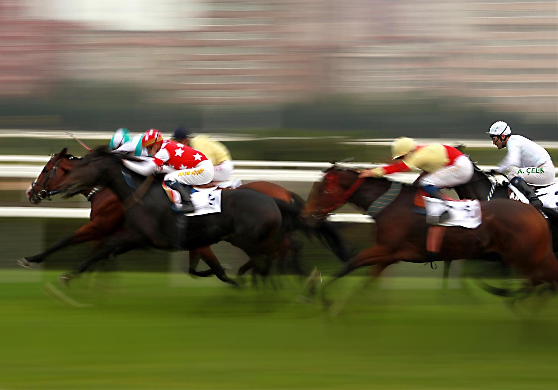 belmont stakes