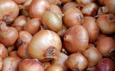 National Onion Day: A Flavor-Pilled Tribute to This Layered Legend