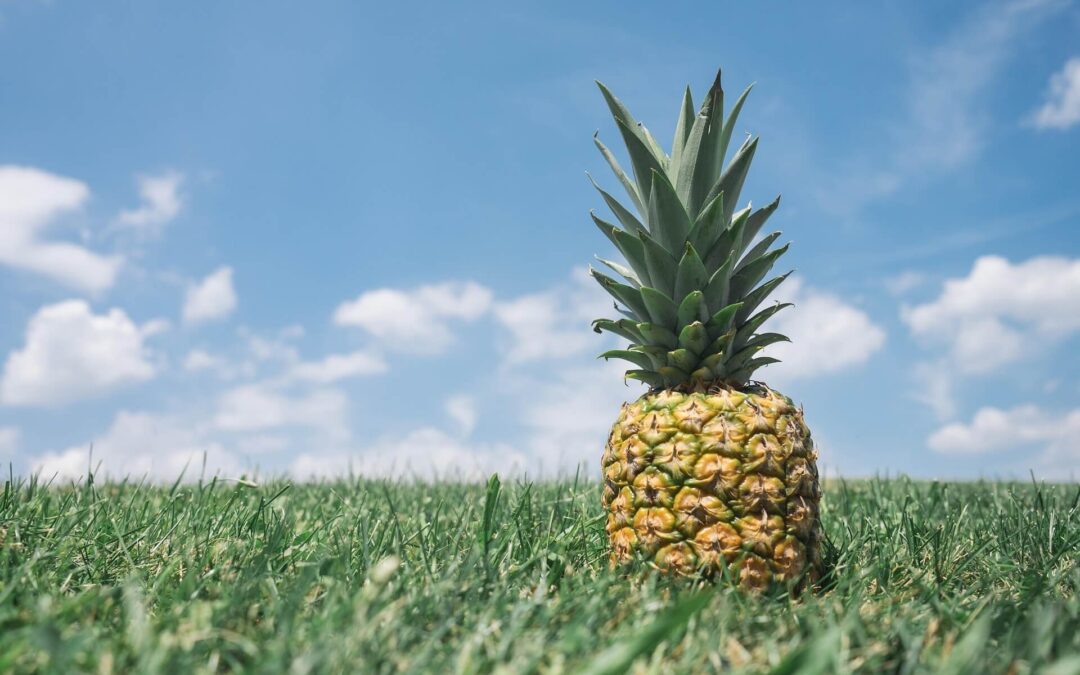 International Pineapple Day: A Juicy Slice of Fun and Flavor