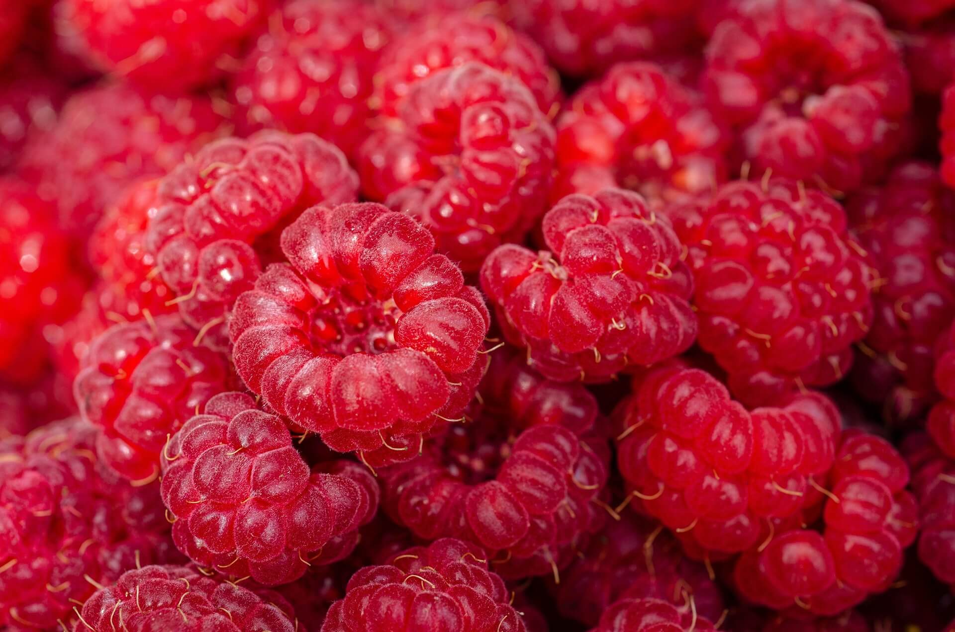 national raspberry day
