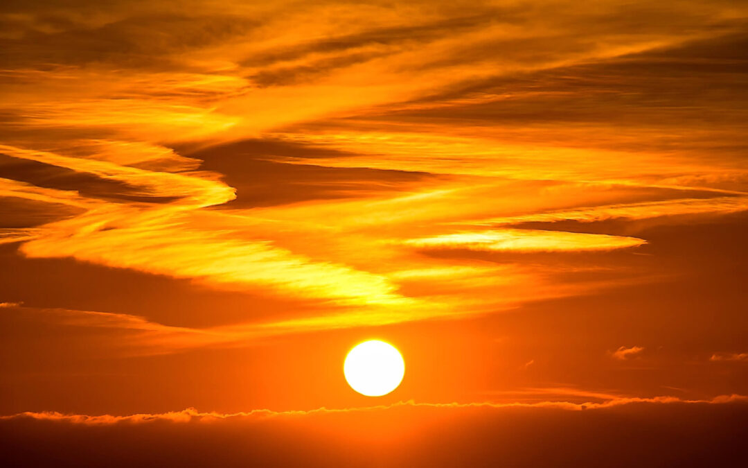 National Stay Out of the Sun Day: A Gloriously Awkward Excuse to Hide Indoors