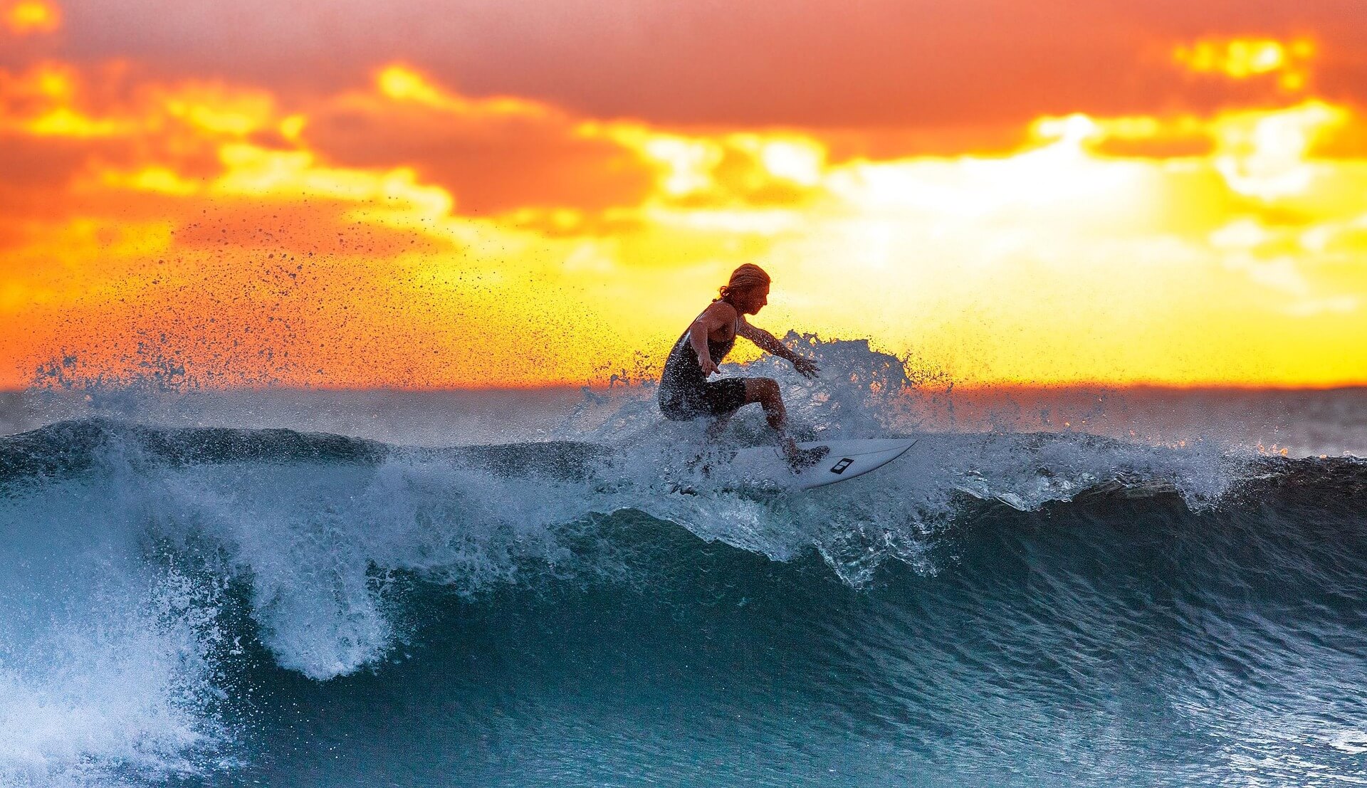 international surfing day