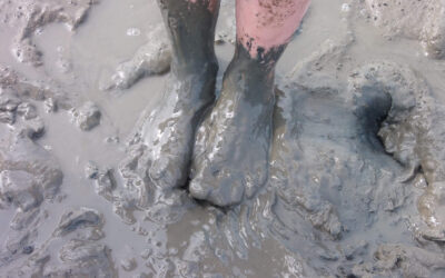 International Mud Day: A Dirty, Delightful, and Downright Awesome Celebration