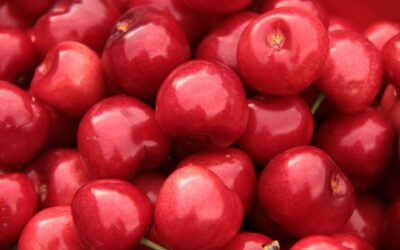 National Cherry Day: A Blissful Celebration of Pits, Pies, and Puns