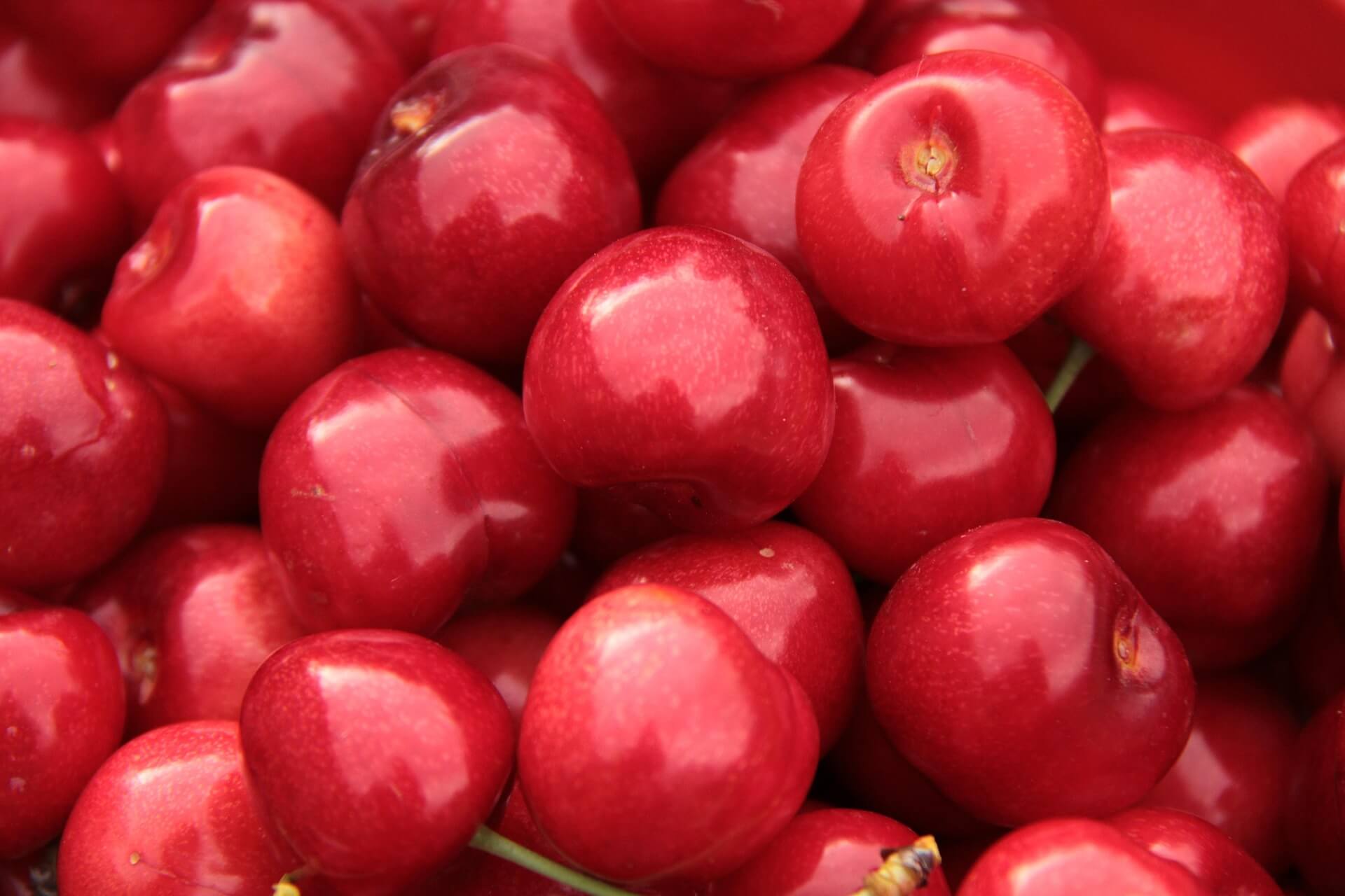 national cherry day