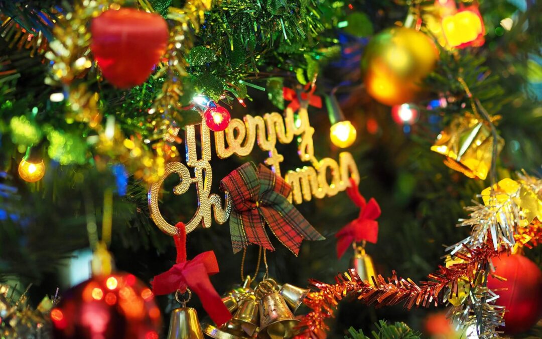 Christmas in July: A Heartwarming Bonanza of Yuletide Madness