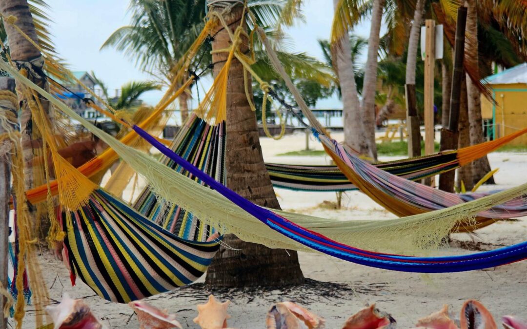 National Hammock Day: The Art of Doing Absolutely Nothing