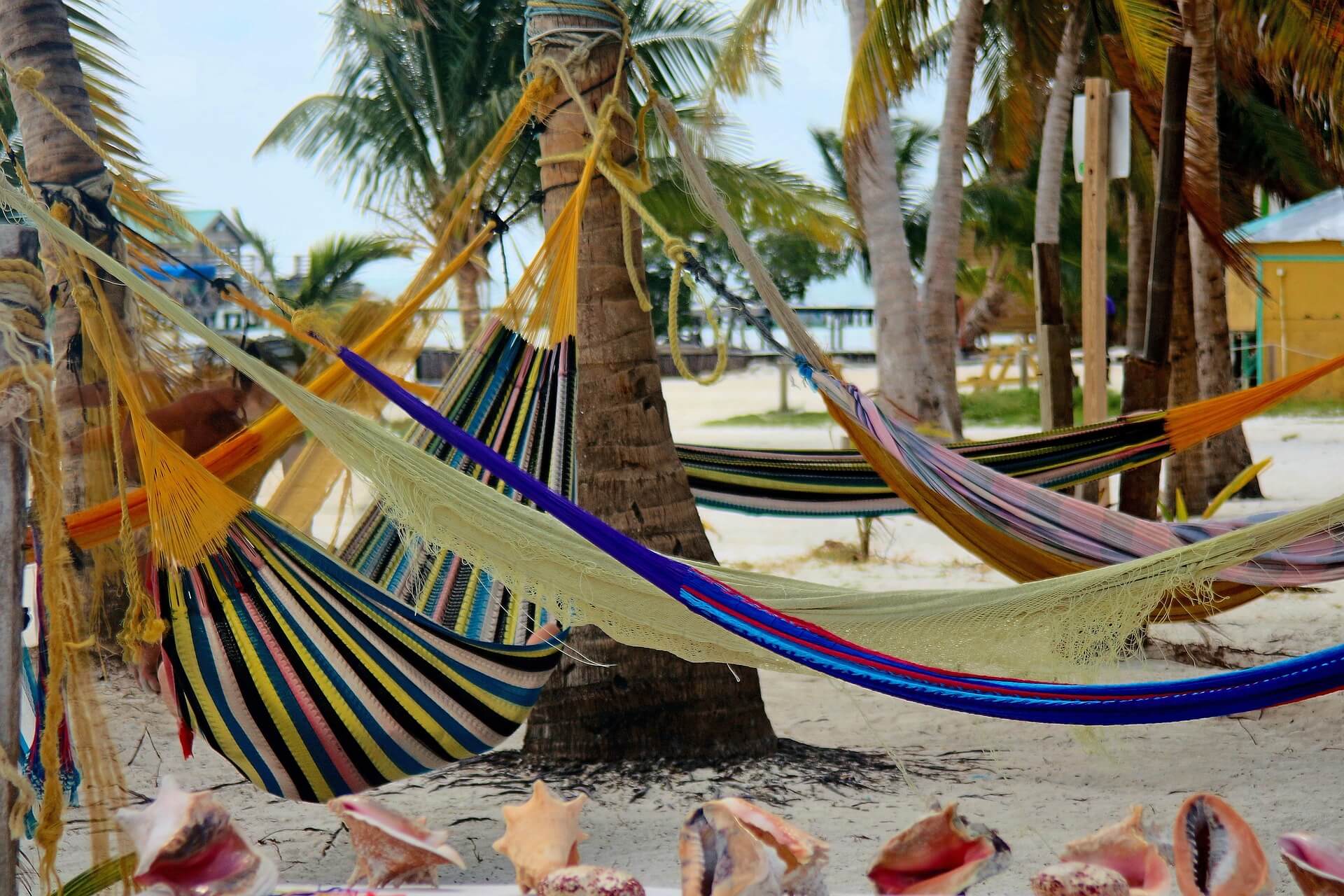 national hammock day
