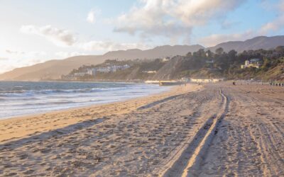 National Beach Day: A Carefree Tradition That’ll Make You Ditch the Office